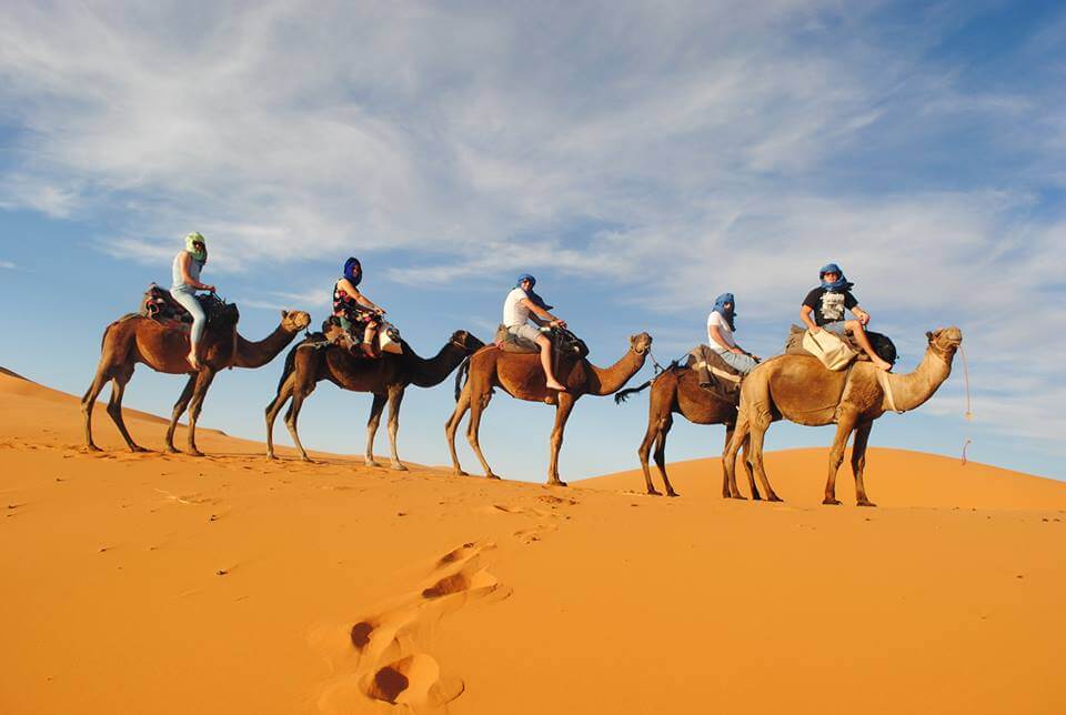 Excursiones En Camellos Desierto Merzouga Marruecos Bohemio