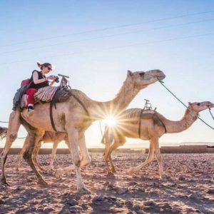 2 Dias Desde Marrakech al Desierto Zagora