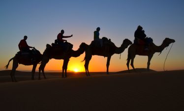 Excursiones en camellos desierto Merzouga