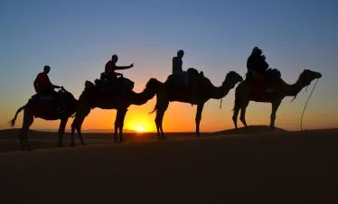 Excursiones en camellos desierto Merzouga