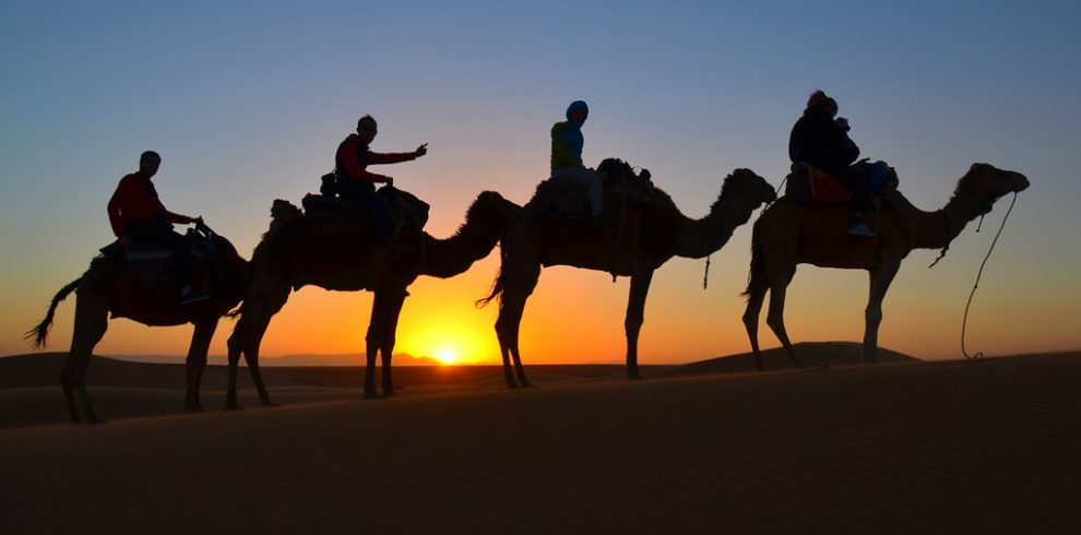 Excursiones en camellos desierto Merzouga