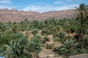 3 Dias Desde Marrakech al Desierto de Merzouga