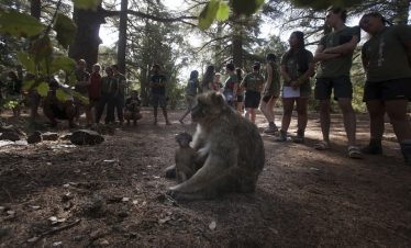 8 Dias Desde casablanca Ciudades Imperiales y Desierto