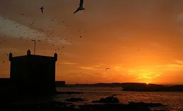 Excursion Desde Marrakech a Essaouira