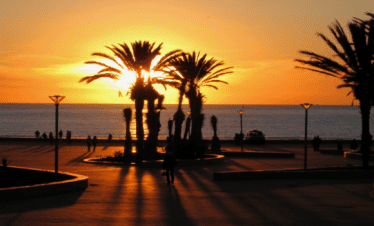 Excursion Desde Marrakech a Essaouira