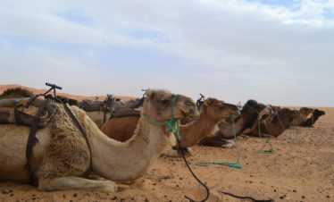 6 días Zagora Erg Chegaga desde Marrakech
