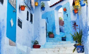 https://marruecosbohemio.com/trip/excursion-de-1-dia-desde-fez-a-chefchaouen/