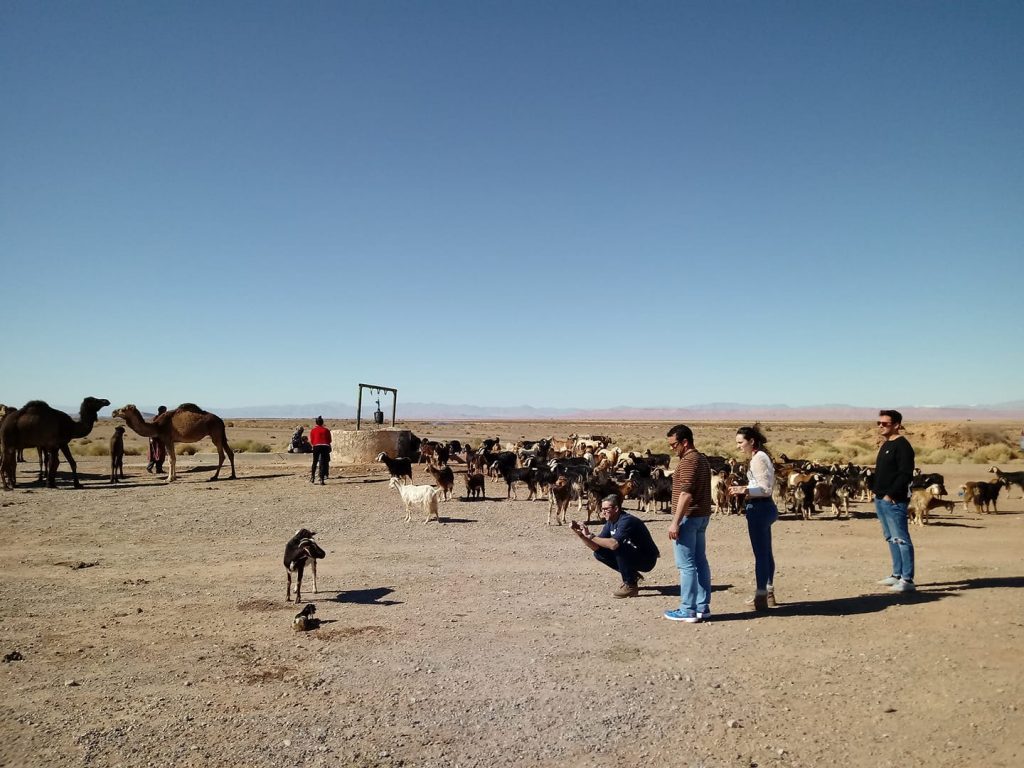 Ruta 6 Dias Desierto Erg Chabbi desde Agadir