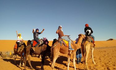 Excursiones y Actividades