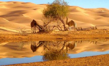 Viaje 7 días Tata Desierto Erg Chegaga desde Agadir 
