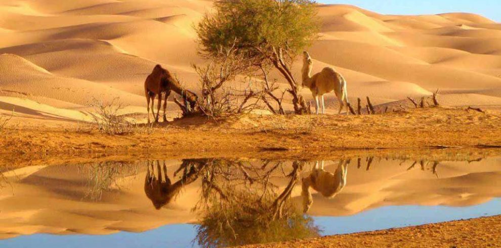 Viaje 7 días Tata Desierto Erg Chegaga desde Agadir 