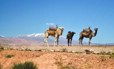 1 día desde Marrakech al desierto de Agafay