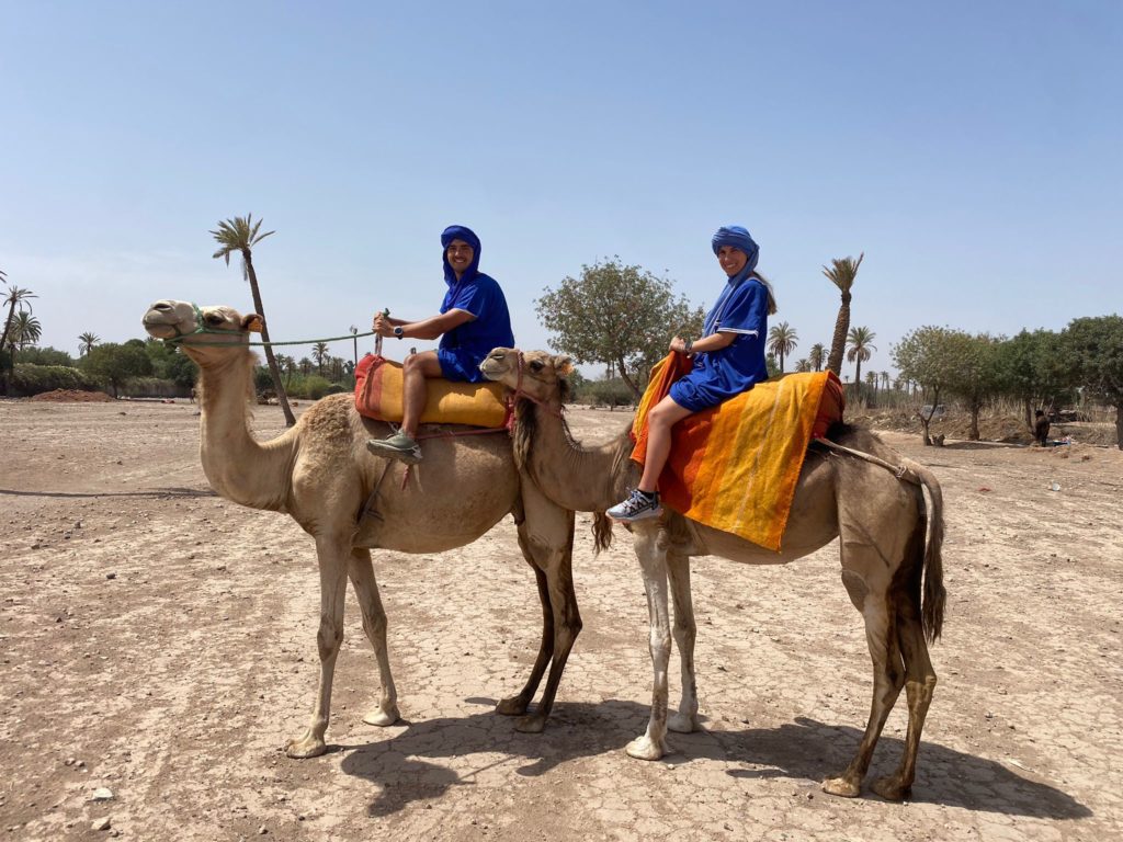 1 Día visita palmeral de Marrakech paseo con Quad/Camello