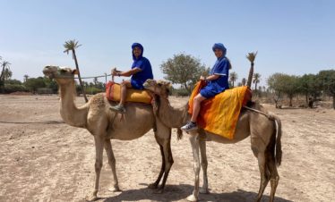 1 Día visita palmeral de Marrakech paseo con Quad/Camello