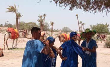 1 Día visita palmeral de Marrakech paseo con Quad/Camello