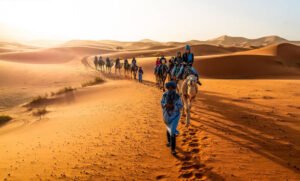 giro in cammello Sahara